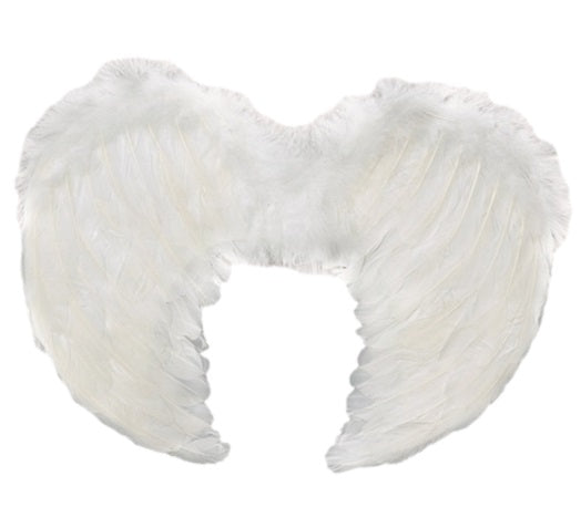 ALAS ÁNGEL PLUMAS